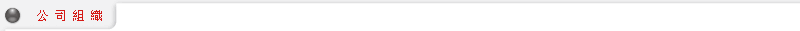 公司組織
